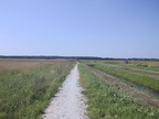 116-1637 IMG