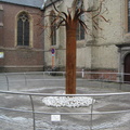 IMG 6699