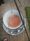 IMG 5736
