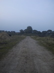 117-1747 IMG
