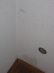 IMG 0125