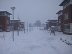 149-4984 IMG