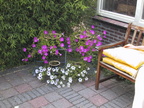 100-0003 IMG