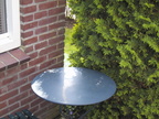100-0006 IMG