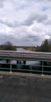 Friese Woudenpad