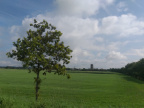 IMG-20210823-WA0010